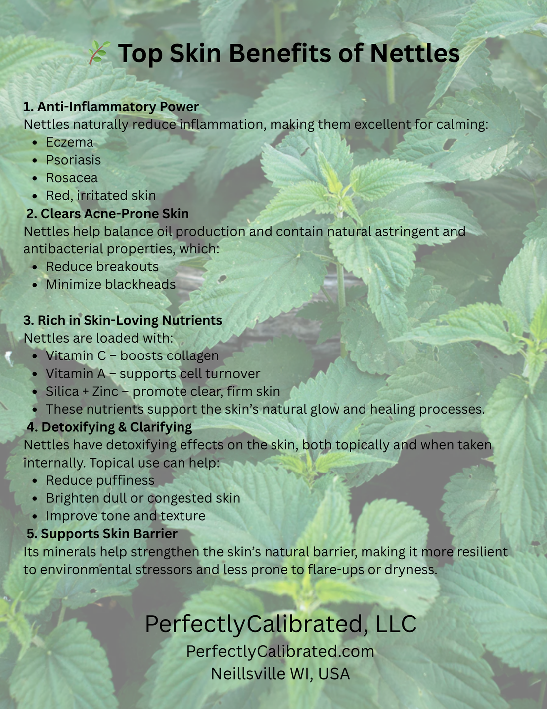 Top Skin Benefits of Nettles